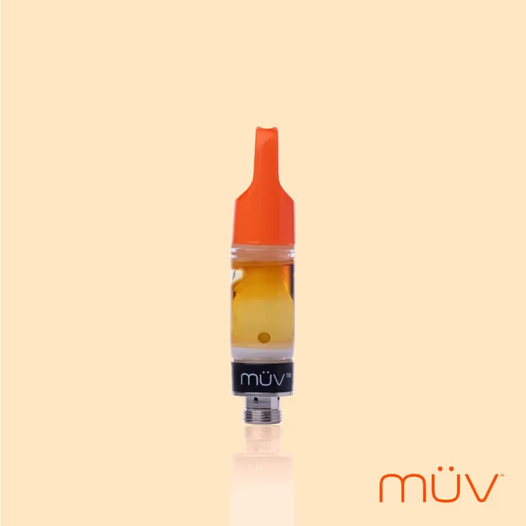 MÜV Robots