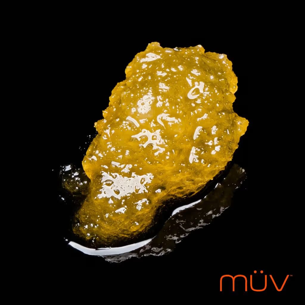 MÜV Motorbreath Sugar