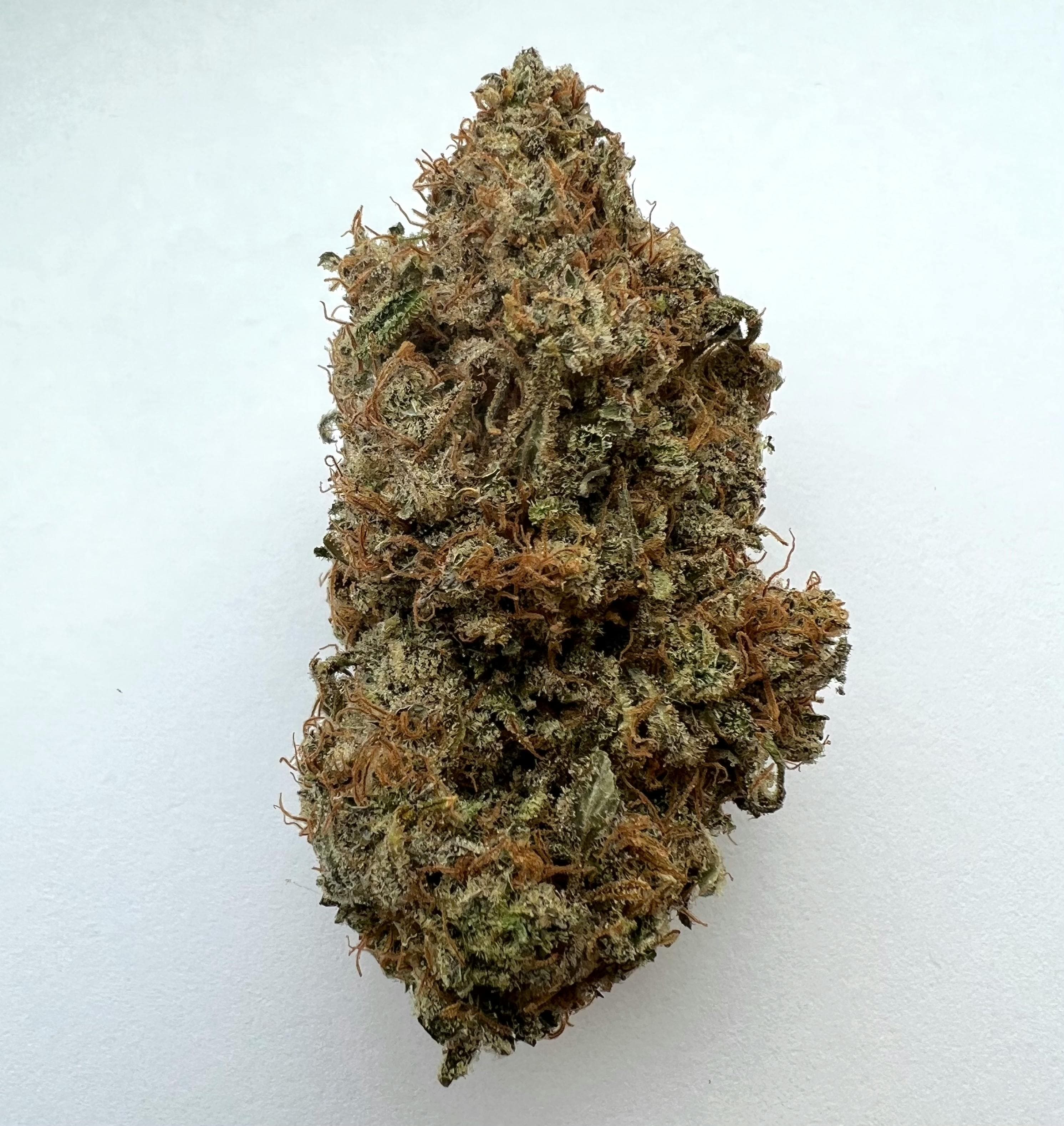 Mr. Tree Flower