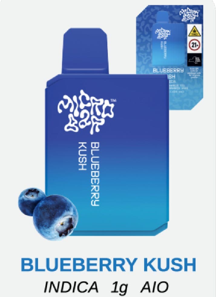Micro Bar Blueberry Kush | AIO | Indica | 1g