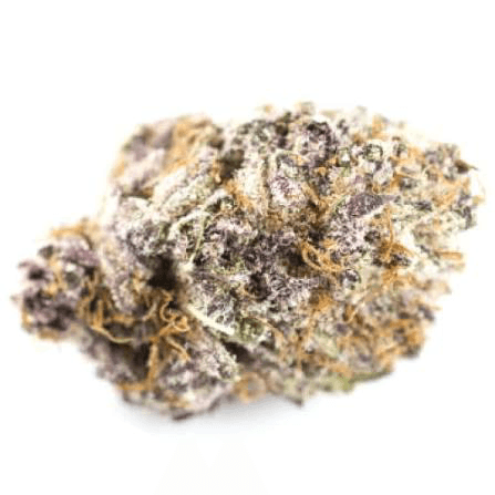 DR. JC'S  Exotics Blue Jam | Dr.JC - 28g