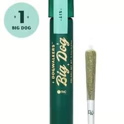 DOGWALKERS Dogwalkers 1g Big Dog Cheddar Cheeze (I) 01562