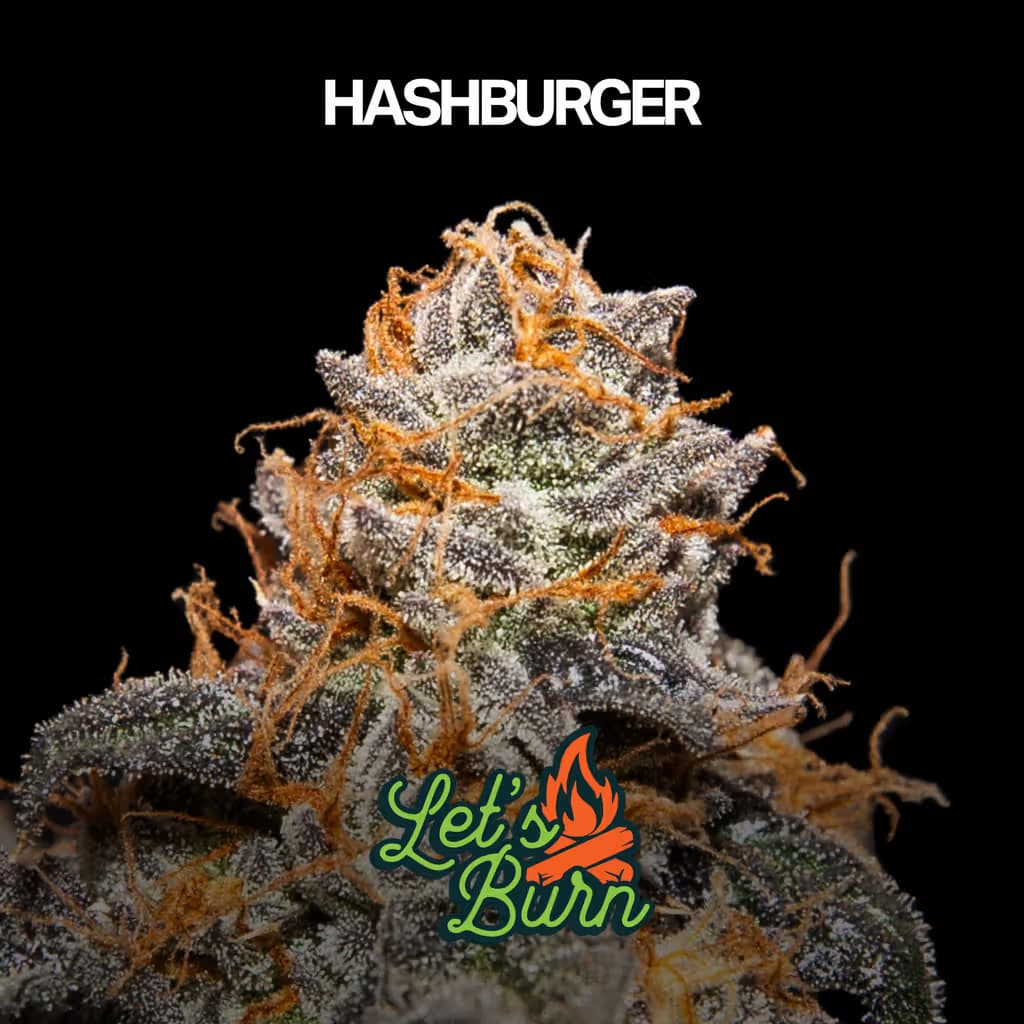 Let's Burn Hash Burger
