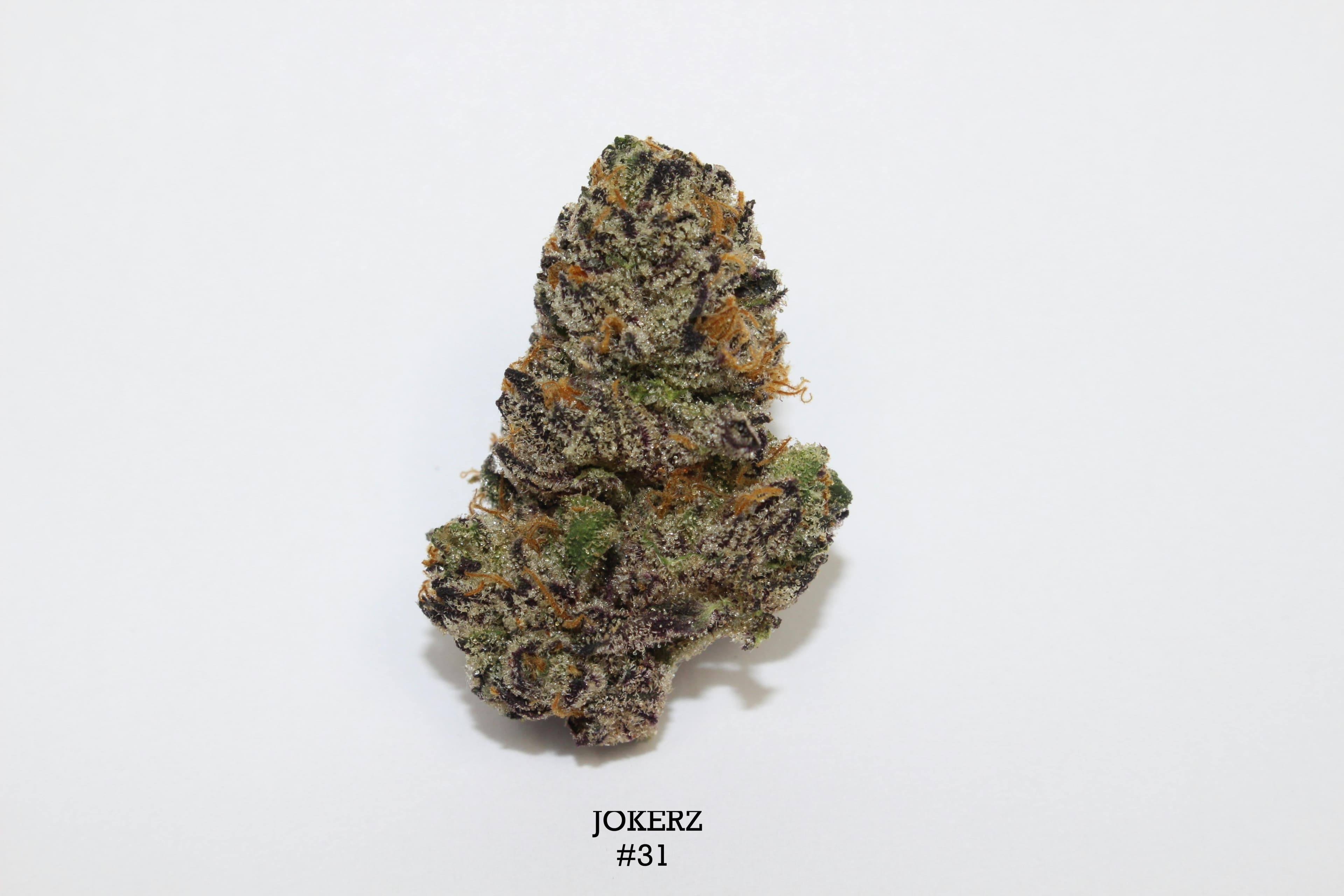 ROEMER FARMS Jokerz #31 | 3.5g (Microgrow)