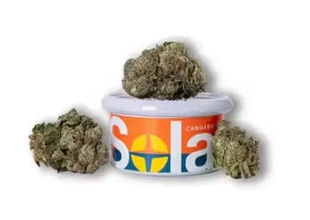 Solar Cannabis Co. Flower | Solar Cannabis | Jokerz Candy | 3.5g