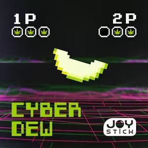 Joy Stick