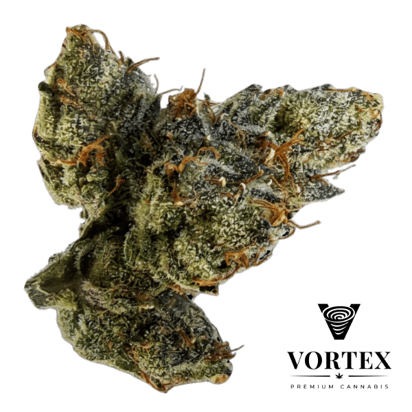 VORTEX Bama RZ Premium Flower