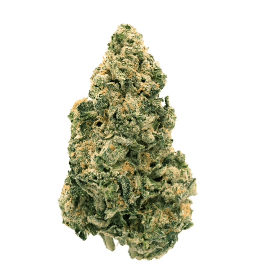 Back Forty Galactic Jack Flower - Sativa