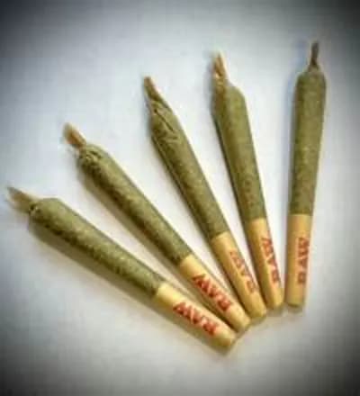 Sassy Weed