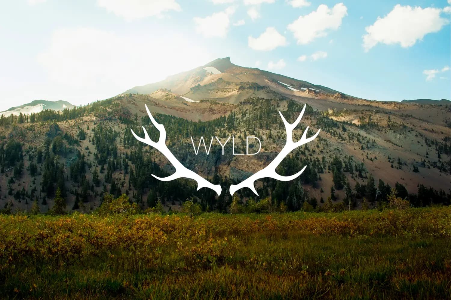WYLD ONE Sativa Strawberry Lemonade