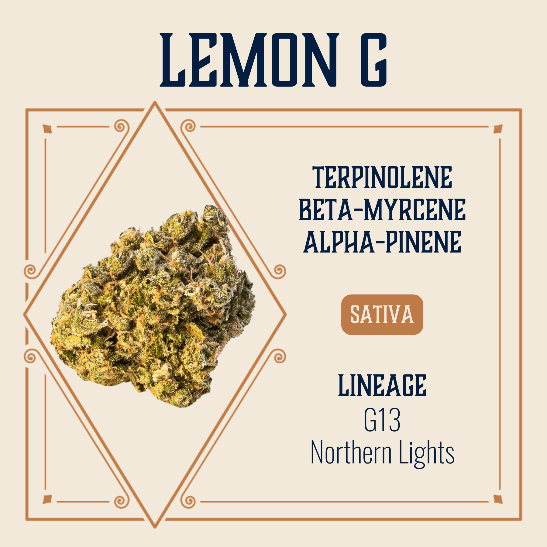 Elevate Missouri Lemon G