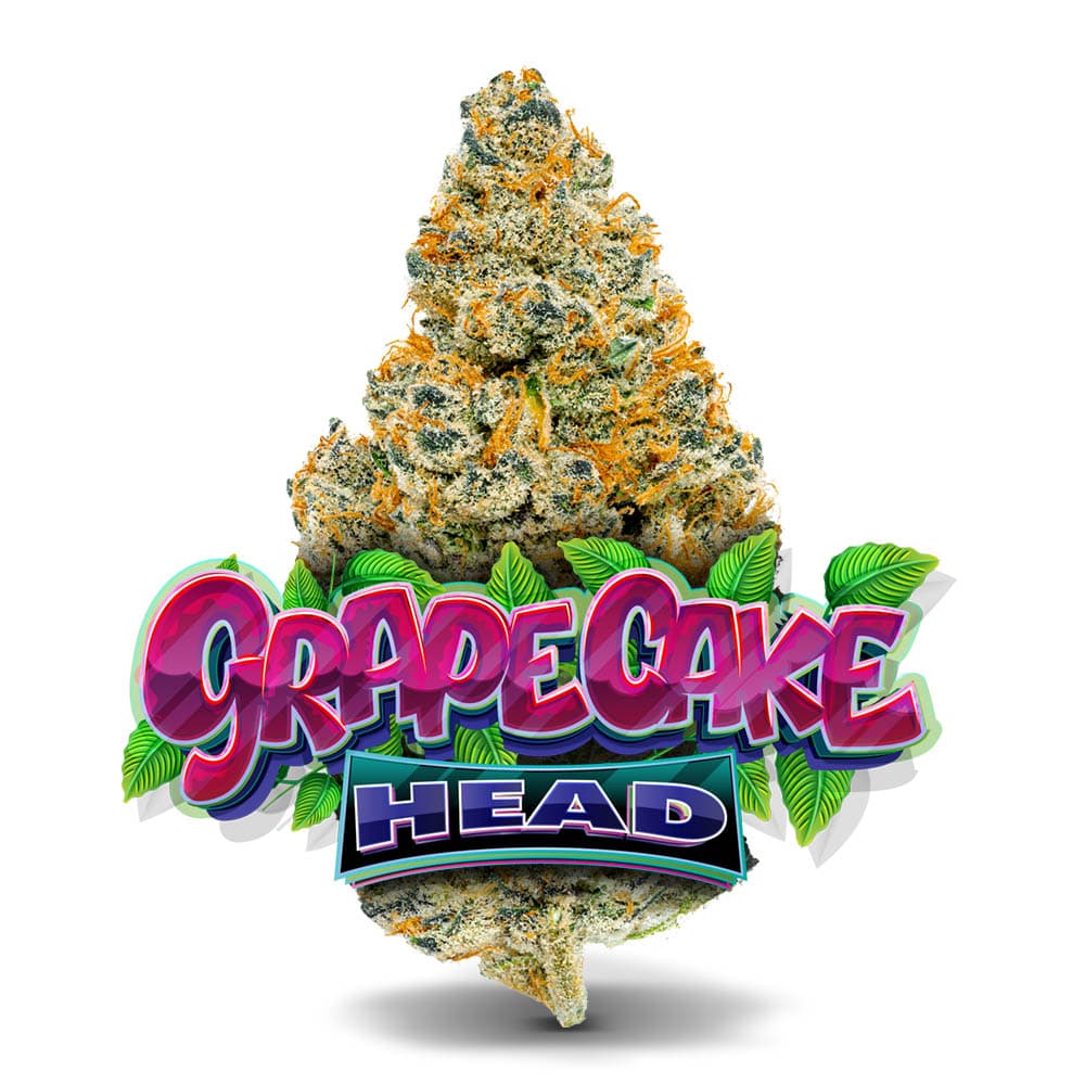 Jungle Boys Grape Cake Head #19 - Premium Flower