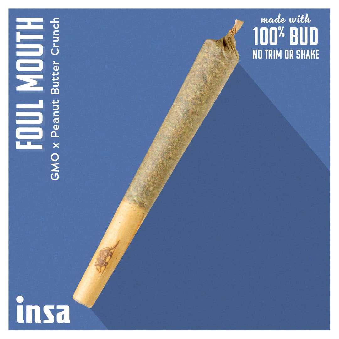 Insa