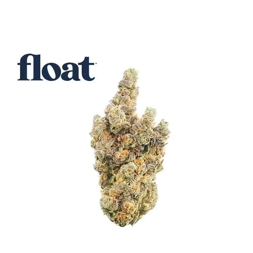 Float Gaspar's Grapes (Hybrid) - Flower, 3.5g (1/8oz)