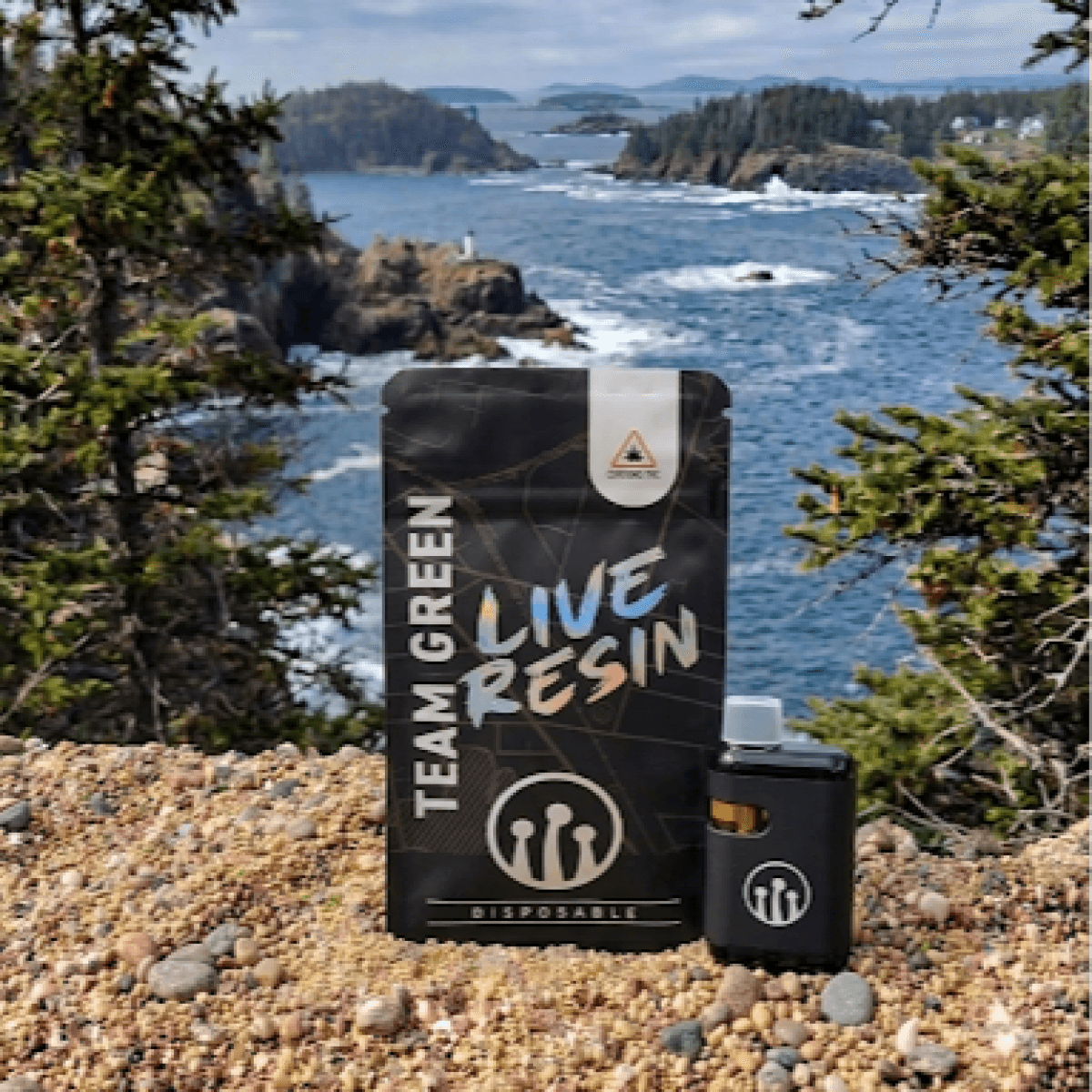 Team Green Frosty Live Resin Disposable : Team Green