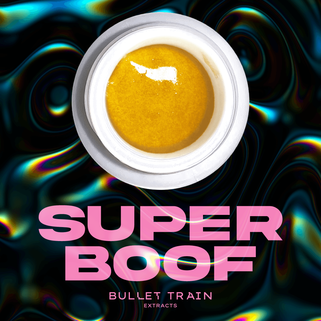 Bullet Train Extracts