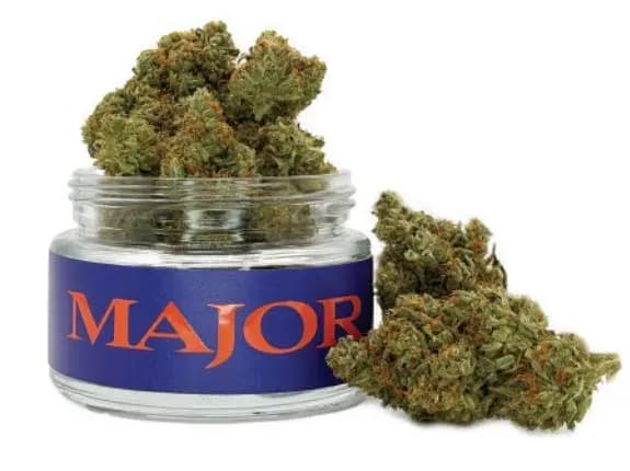 Major (Micro)
