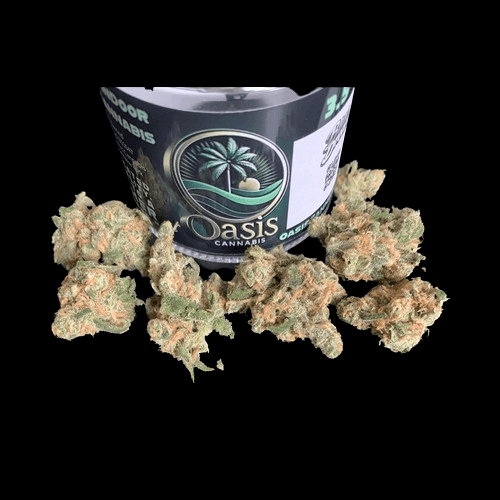 Oasis White Gold #3