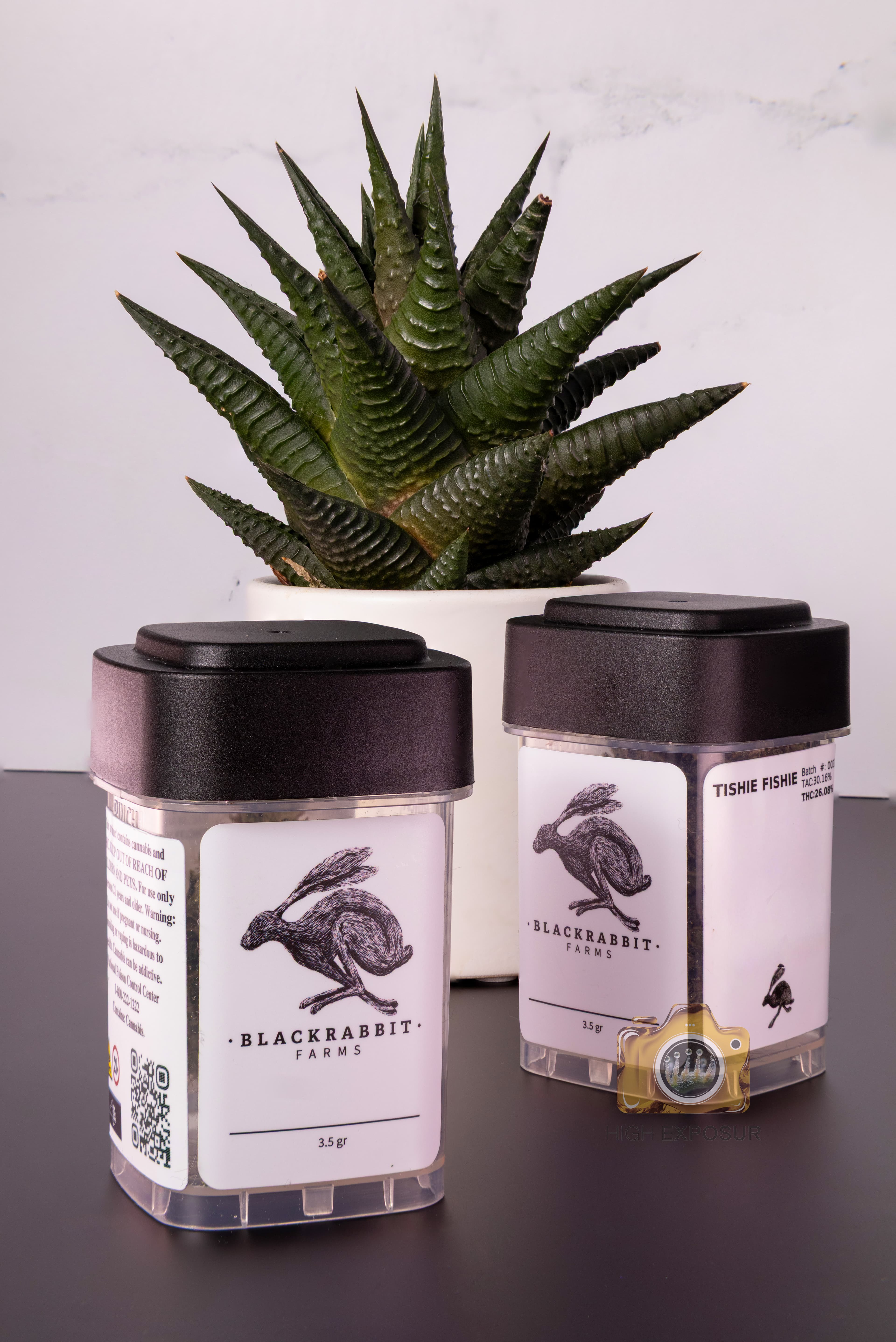 Black Rabbit Farms Hazel | Flower