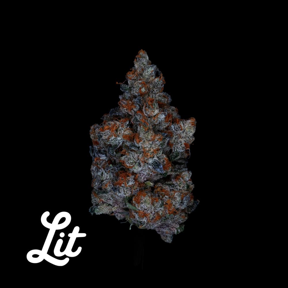 Lit Labs