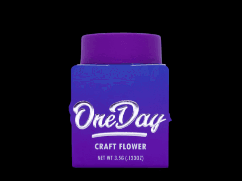 OneDay Buzz