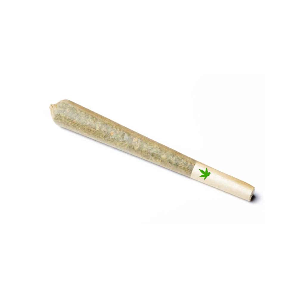 Alpha Extracts Jungle Juice Infused Pre-Roll 2-Pack | 1.25g
