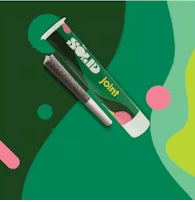 The Solid Bernie HanaButter Pre-Roll