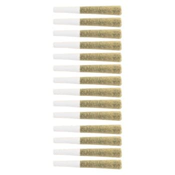 The Loud Plug Pre-rolls