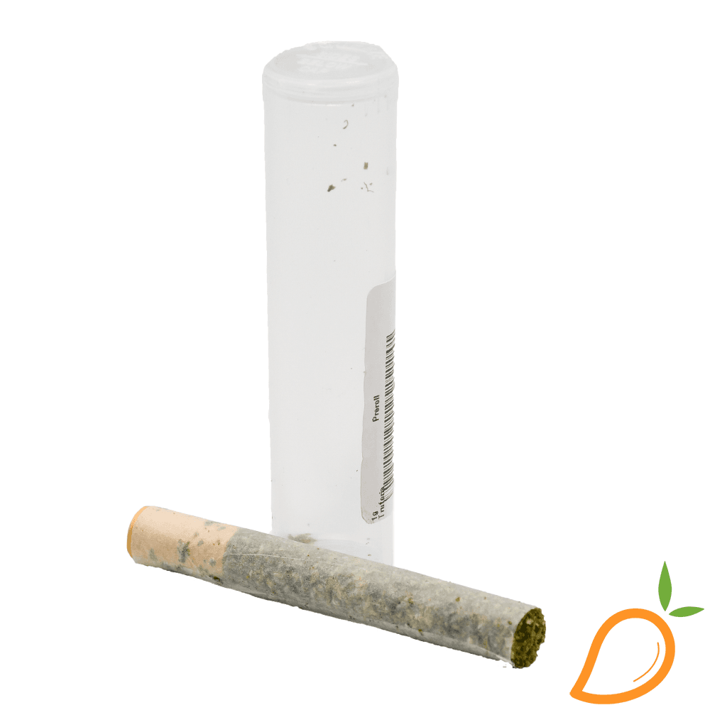 Truforia Sherbacio Pre-Roll