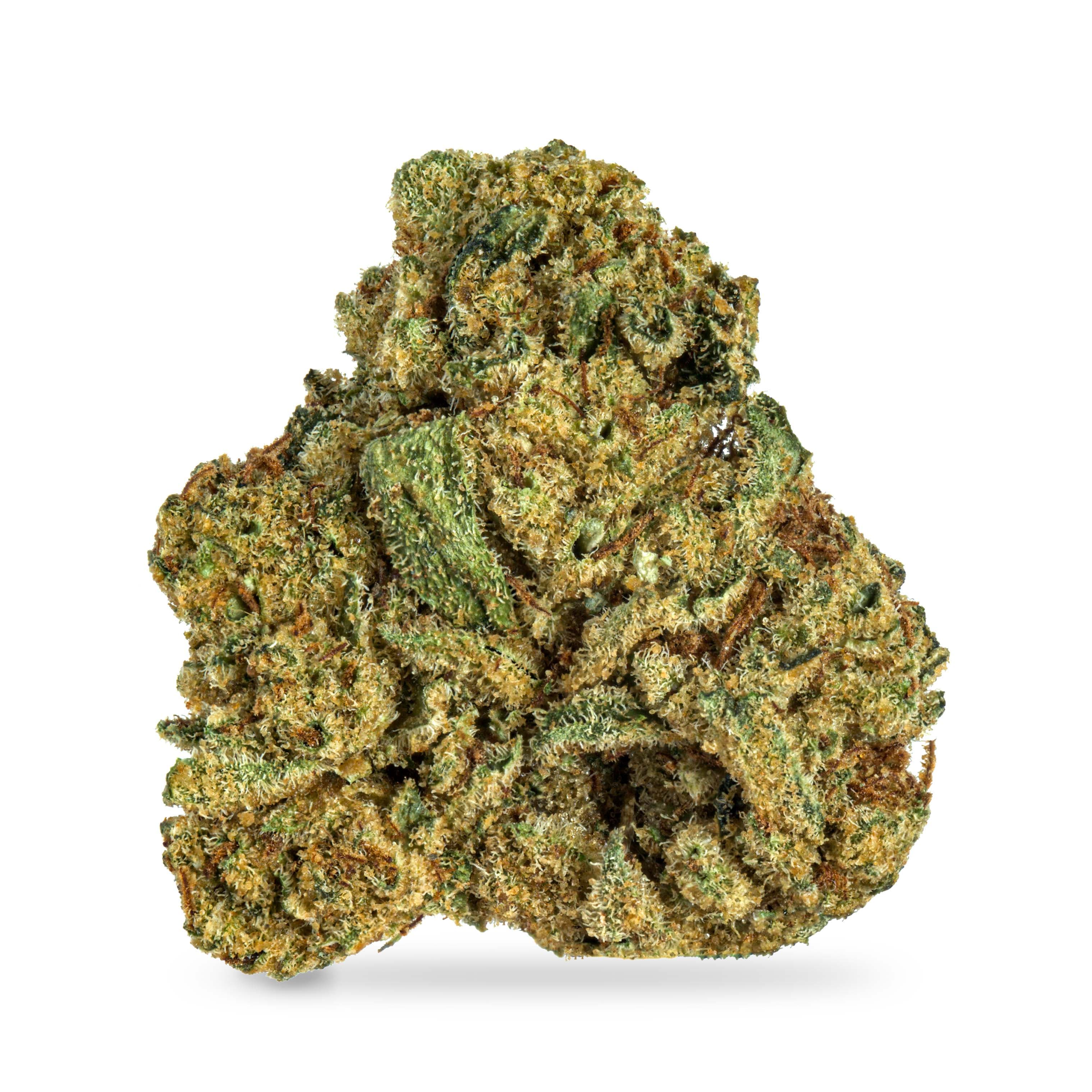 Botapharms Zoap B-Buds