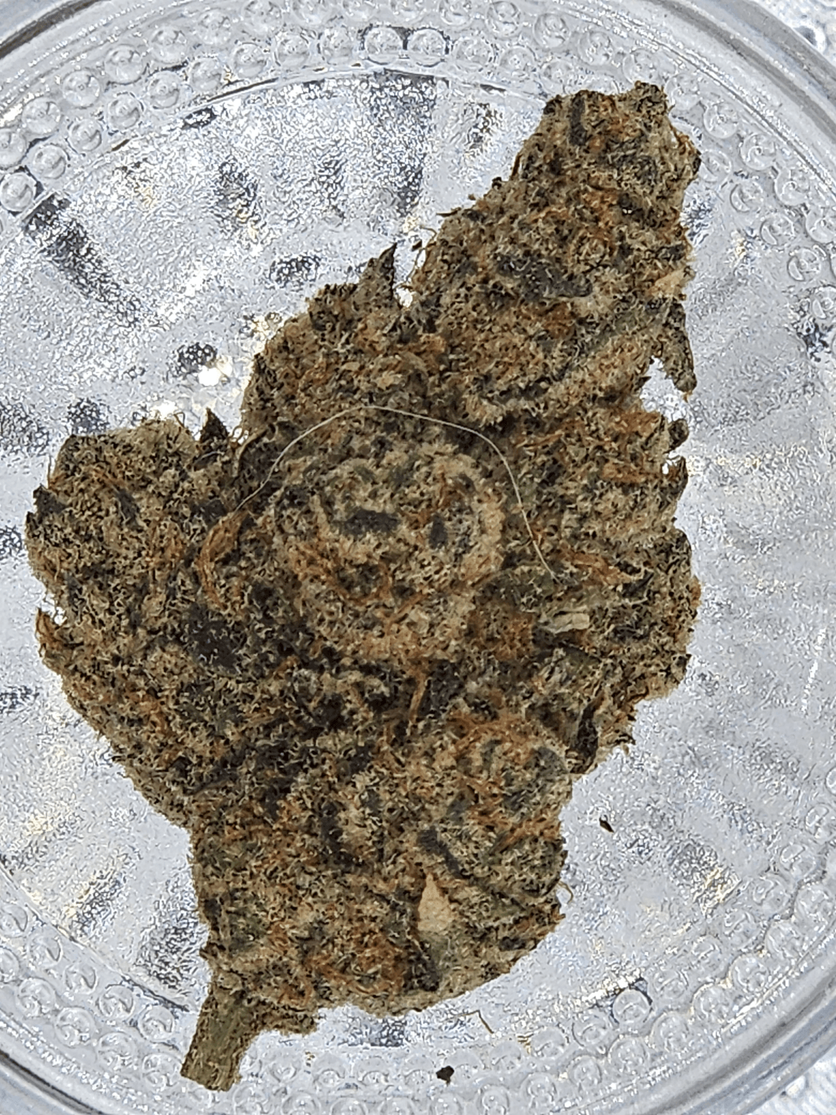 Juicy Joints Cannabis