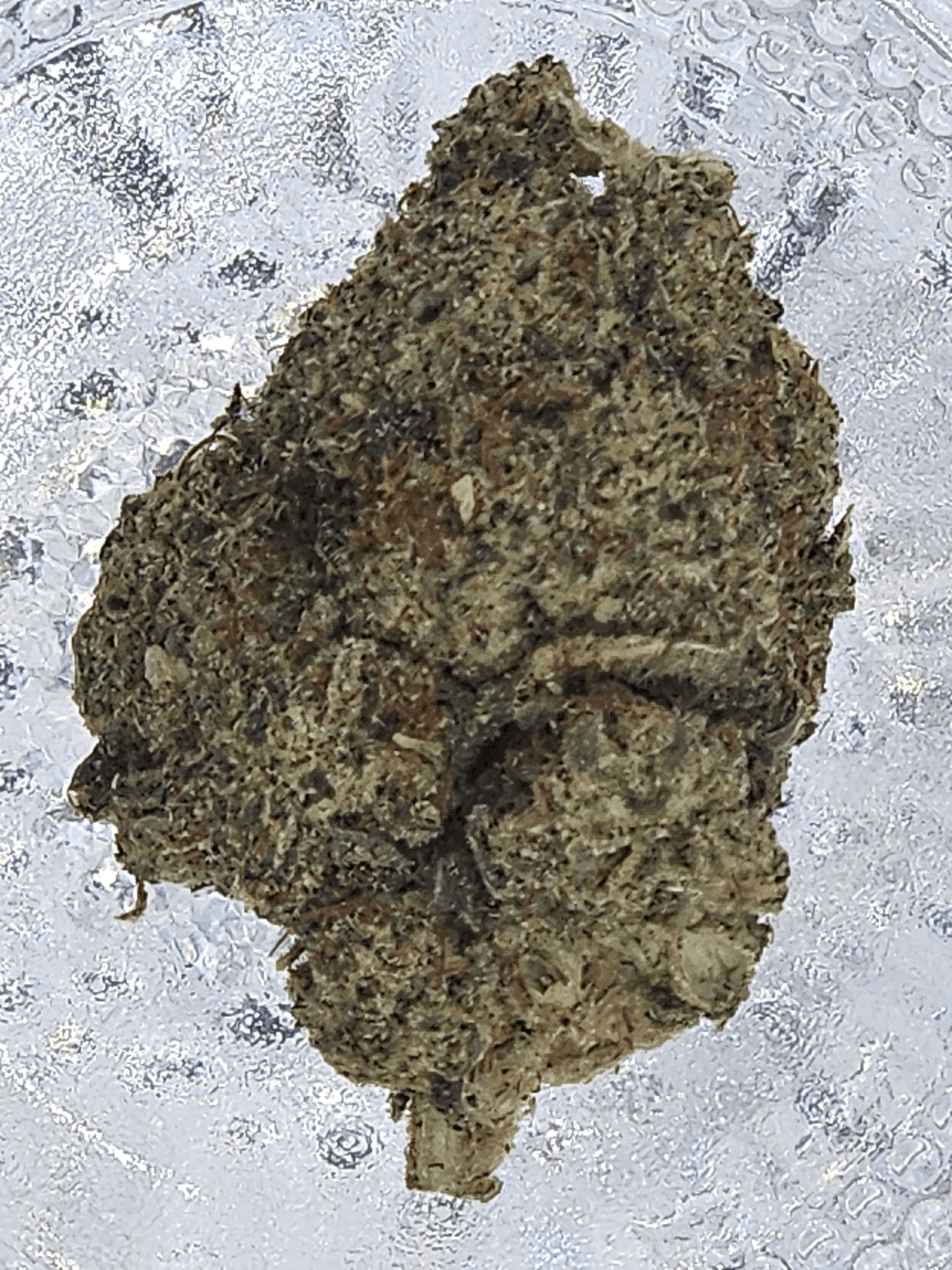 Juicy Joints Cannabis