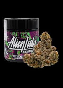 Alien Labs GEMINI 3.5G