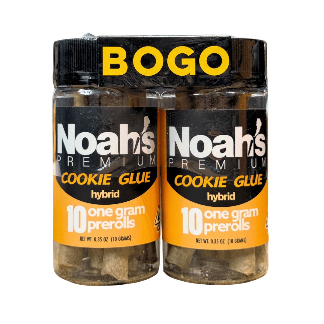 Noah's Premium