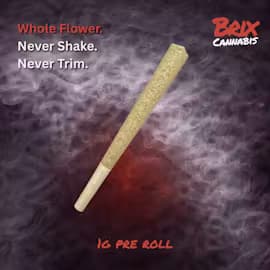 BRIX Shoreline Shakedown 1g Pre Roll (H) 00561