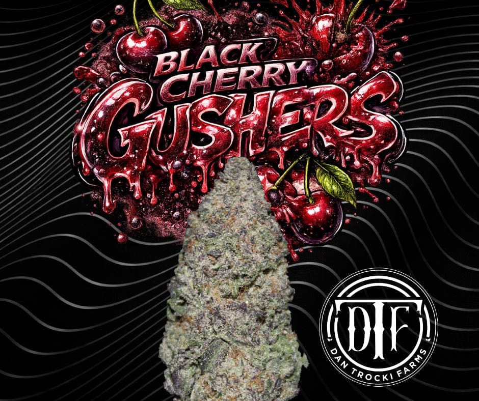 Dan Trocki Farms Dan Trocki Farms Black Cherry Gushers 3.5G