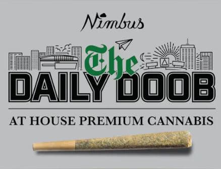 Daily Doob Platinum Cherries Pre-Roll | 1g