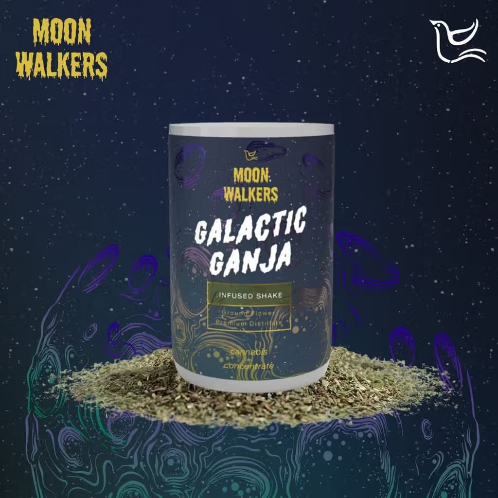 Moon Walker Mandarin Cookies