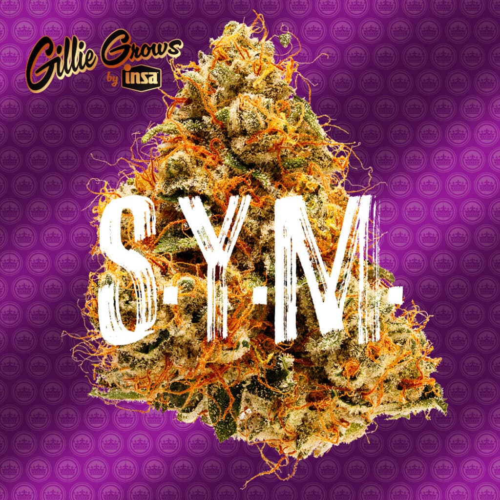 Gillie Grows S.Y.M. Flower