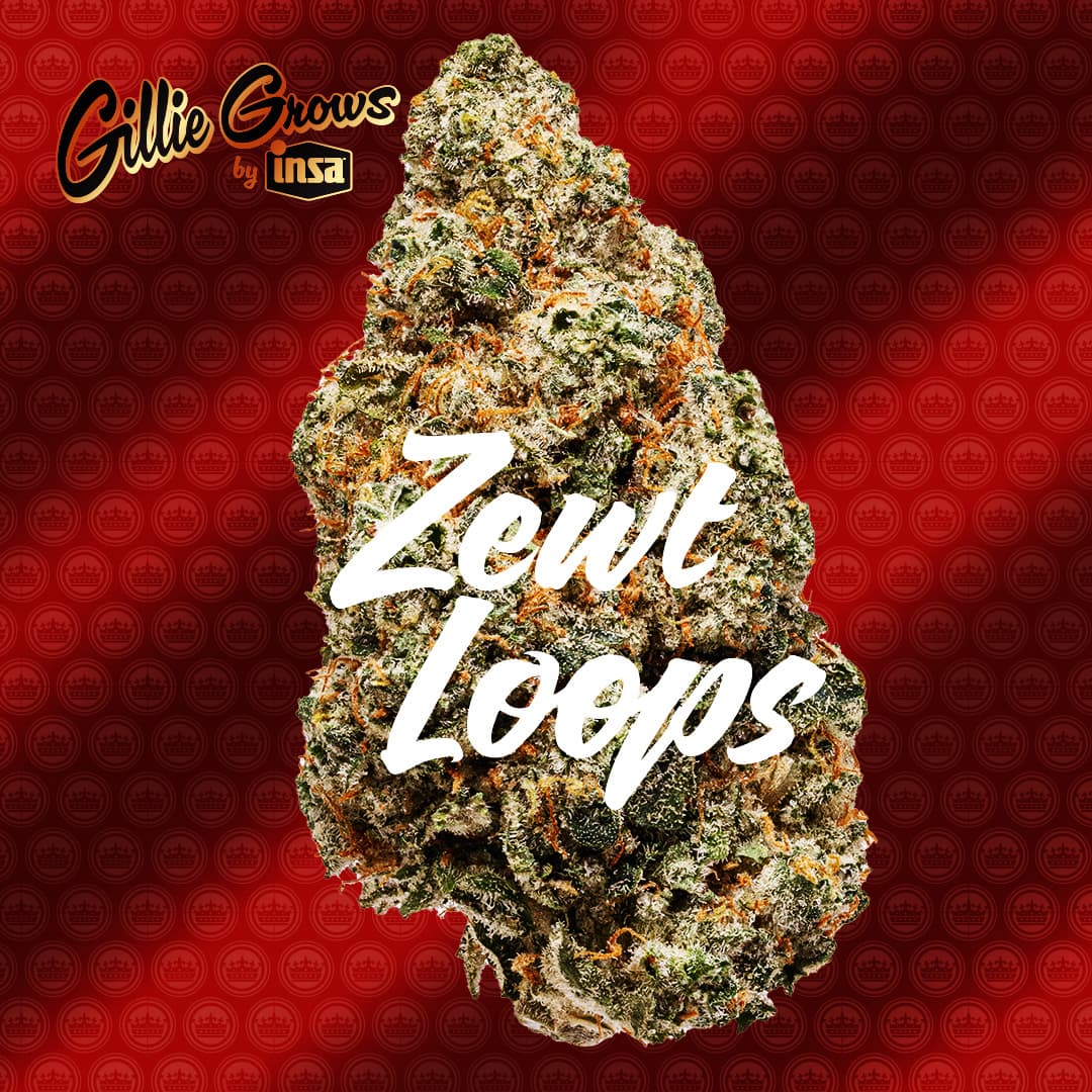 Gillie Grows Zewt Loops Flower