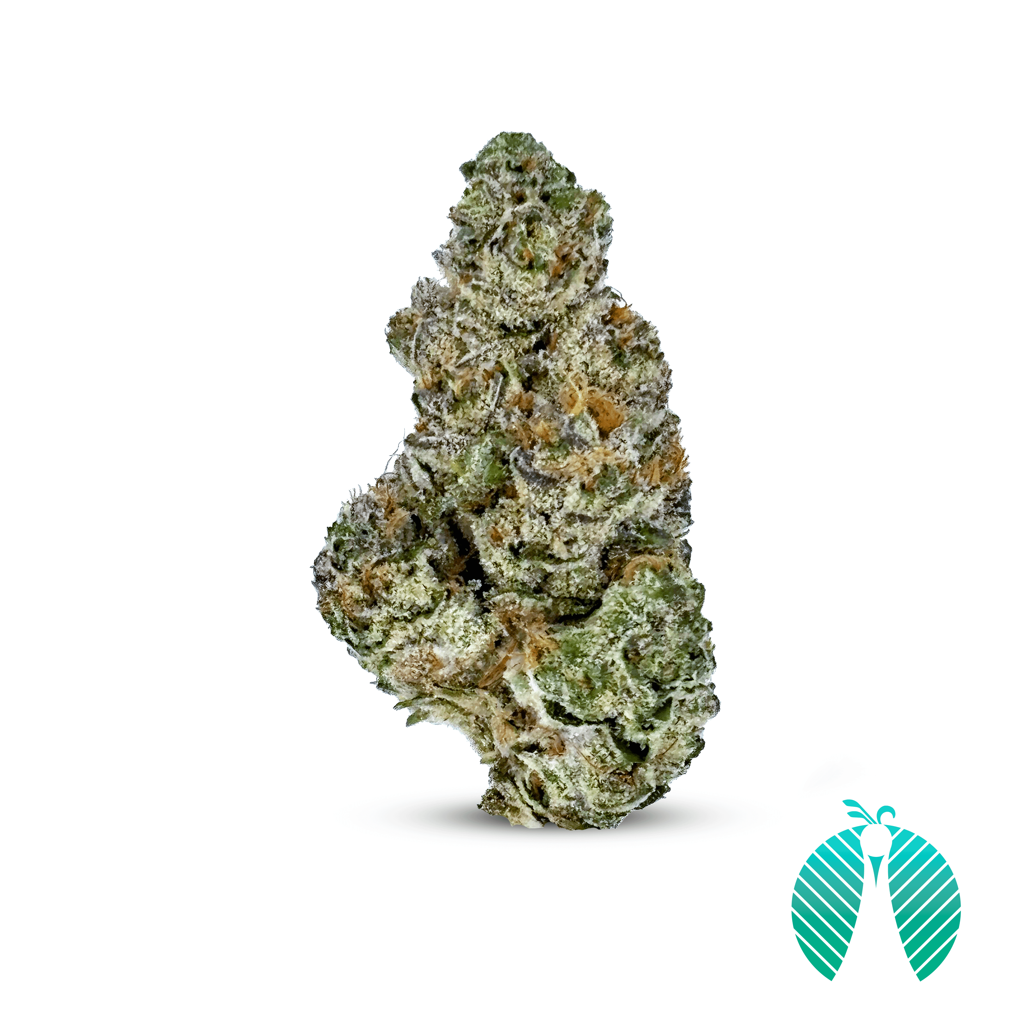 Maitri Genetics Strawnana | 3.5g