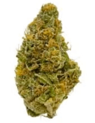 Zippy Zippy Blue Cherry Gelato 28g