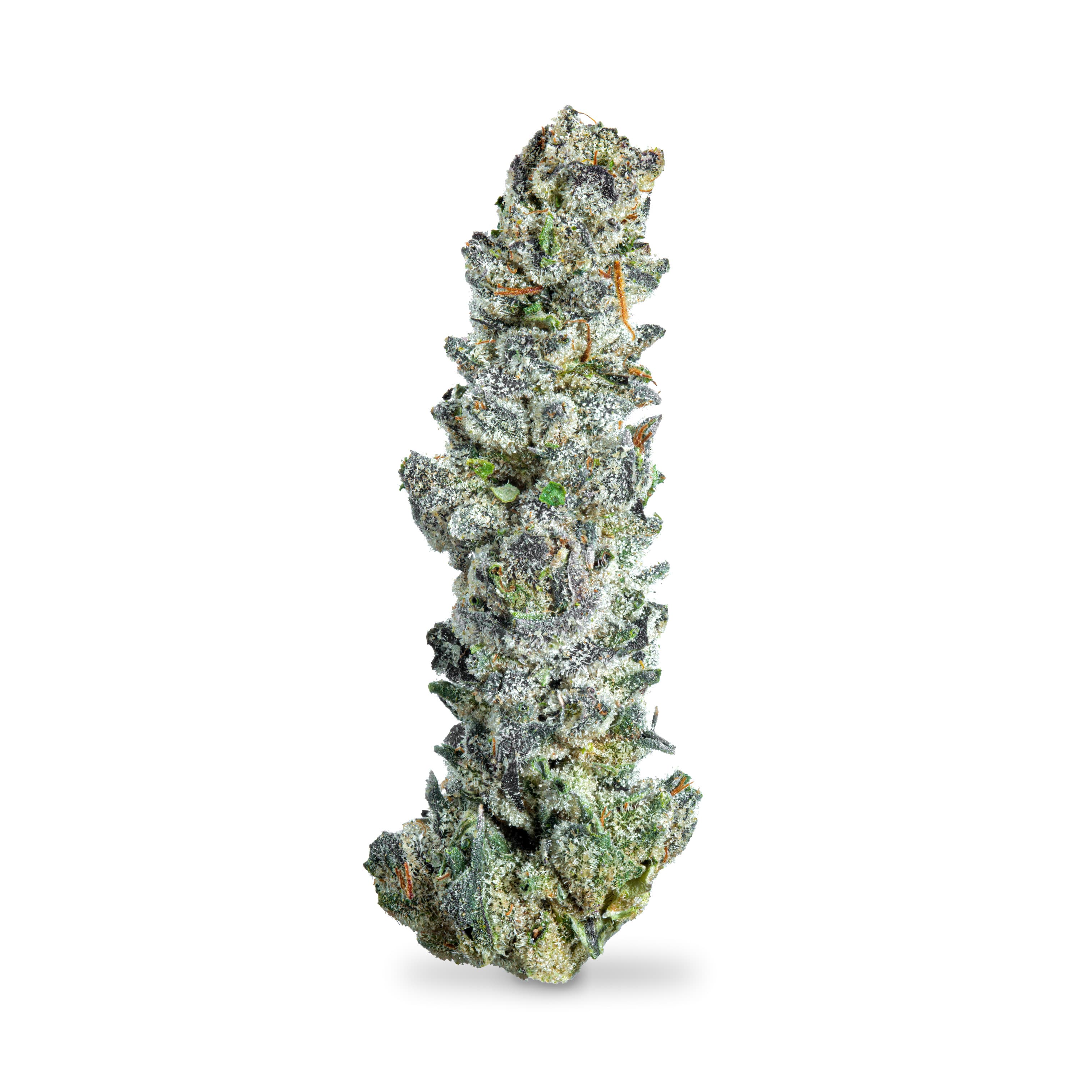 Stay High