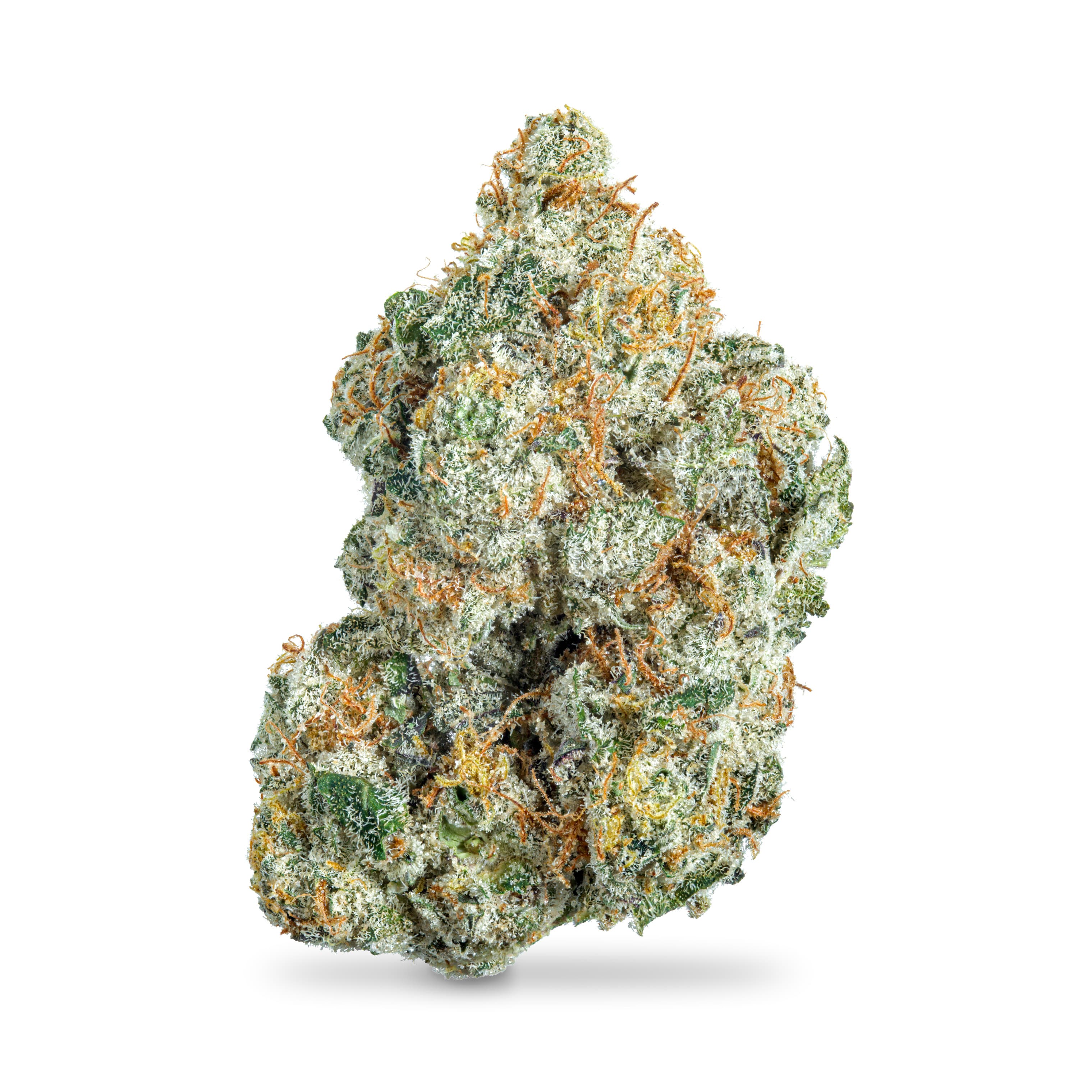 Stay High