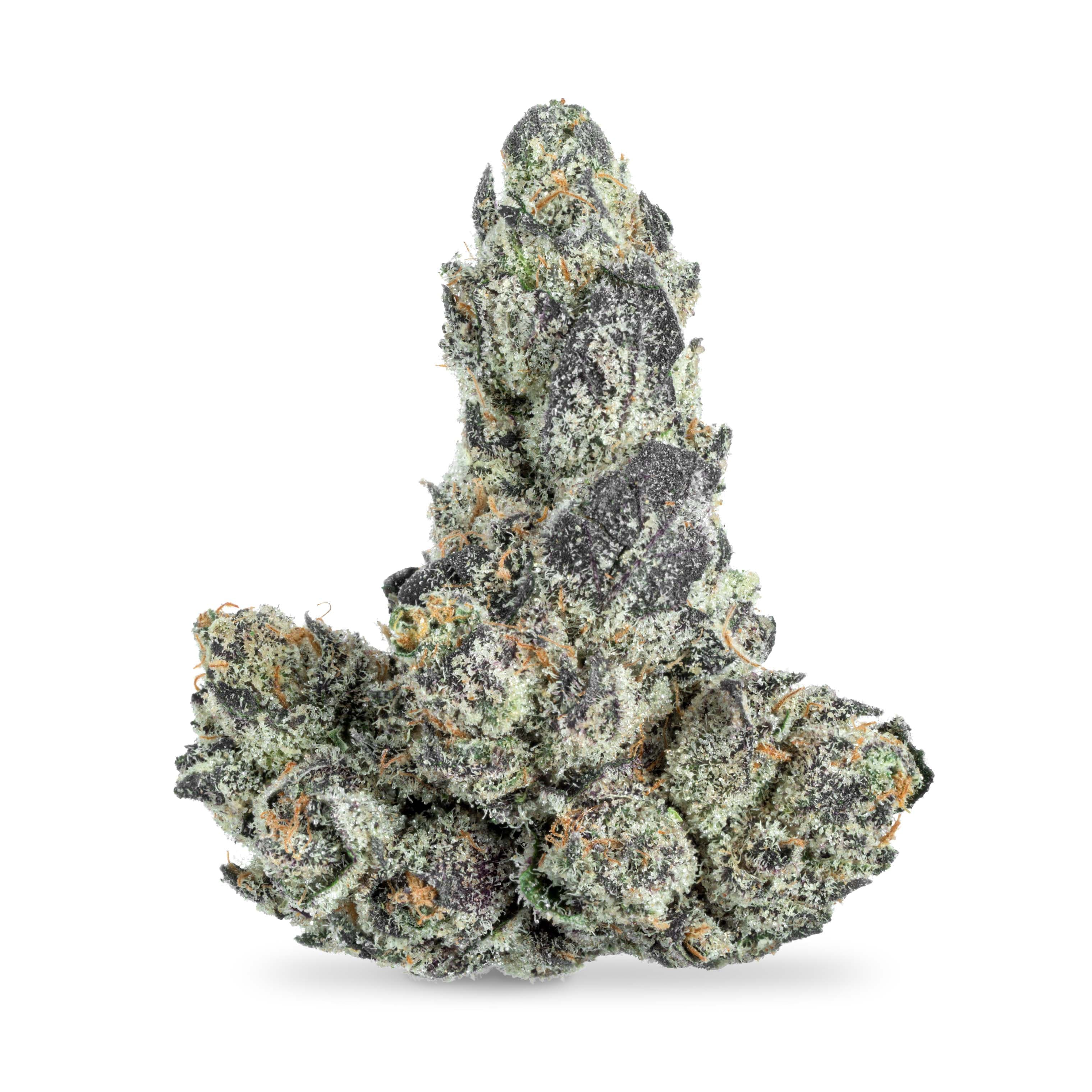 Stay High