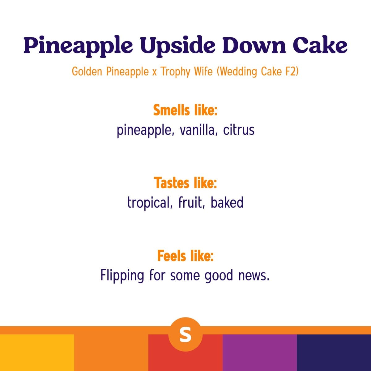 Modern Flower Modern Flower Pineapple Upside Down Cake (S) Flower 3.5g