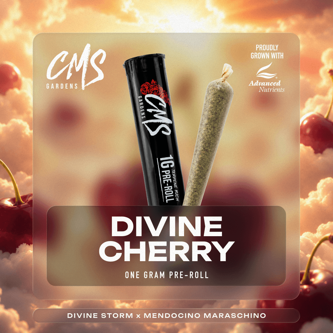 CMS Gardens Divine Cherry - 1g Pre-Roll