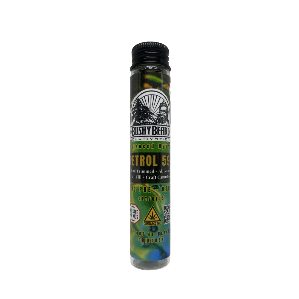 Bushy Beard Petrol 592 Pre-roll