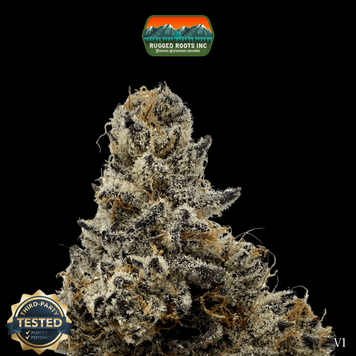 Rugged Roots Rugged Roots | Cherry Paloma