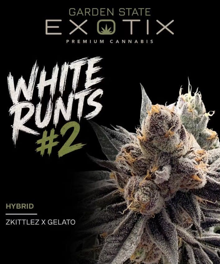 GARDEN STATE EXOTIX WHITE RUNTZ #2 | FLOWER | 3.5G
